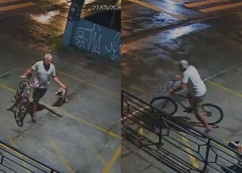 Homem amarra cadela em grade e abandona animal em academia de crossfit no Recife; VÍDEO